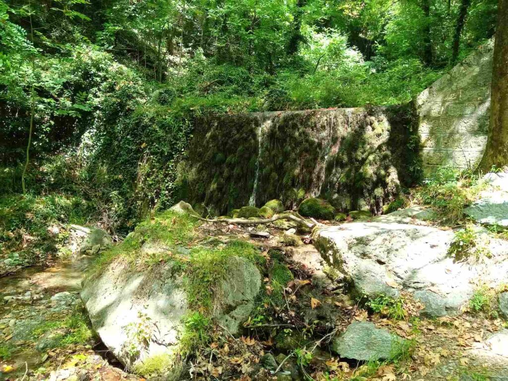 anakaliptontas-ta-loutra-pozar-10