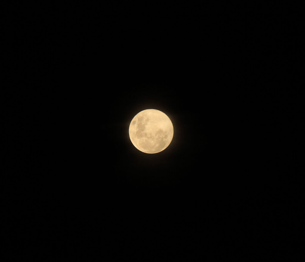 imera-exormisis-mouseia-arxaiologikous-xorous-3