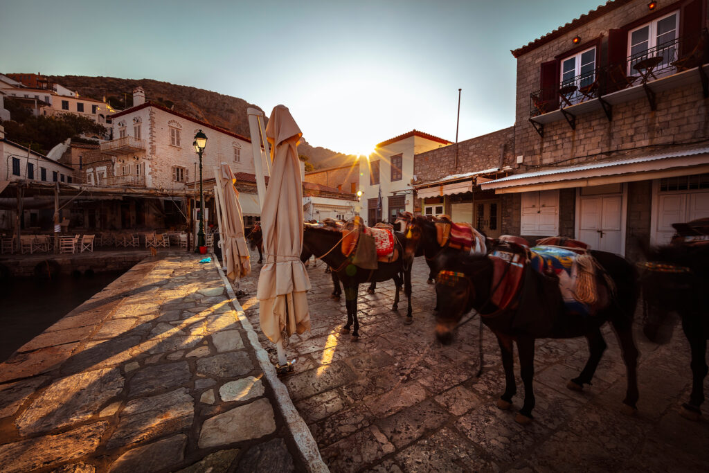 irthe-i-ora-gia-triimero-3