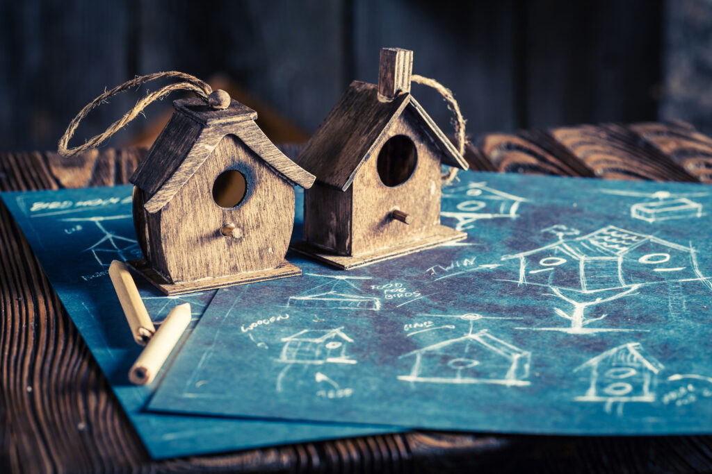 spitakia-gia-tous-fterotous-mas-filous-5