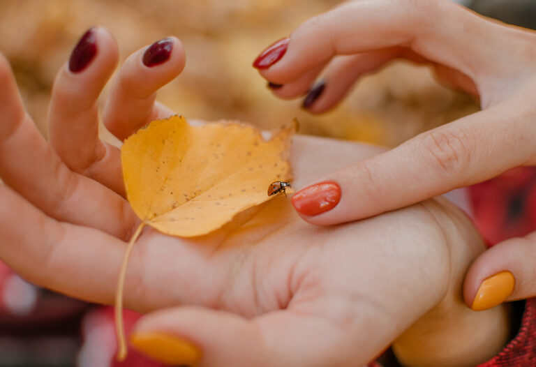 fthinoporines-taseis-kai-xromata-sta-nixia-c