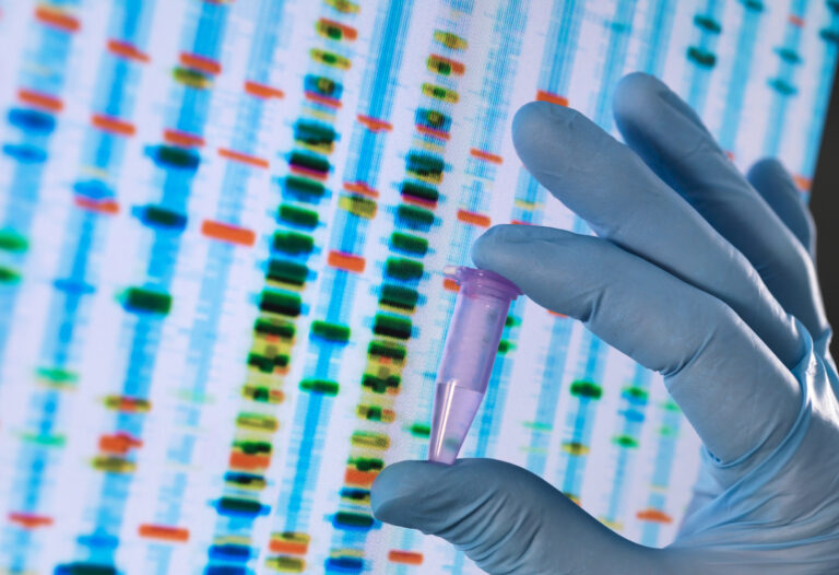 xromosomata-kai-gonidia